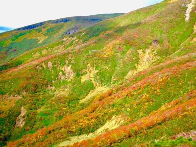 Готель Yamanosho Yuzawa  Екстер'єр фото